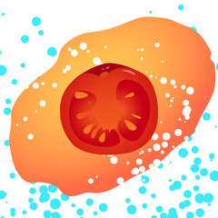 Vector illustration, red realistic slice of the tomato without outline on a blue and white bubbles background