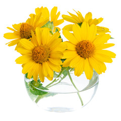 Glass vase with yellow flowers on white background isolation
