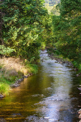 Fototapeta na wymiar Kiewa River at Mt Beauty, in the alpine high country region in Victoria Australia