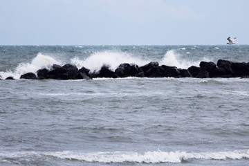 winter sea landscape