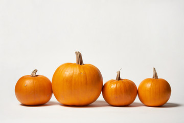 Orange halloween pumpkins standing in line on white background