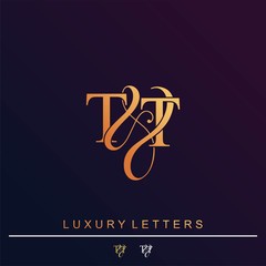 T & T TT logo initial vector mark. Initial letter T & T TT luxury art vector mark logo.