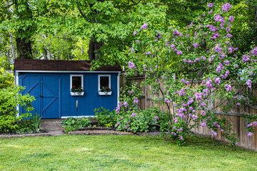 Shed in garden