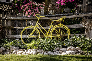 Fototapeta na wymiar bicycle in garden