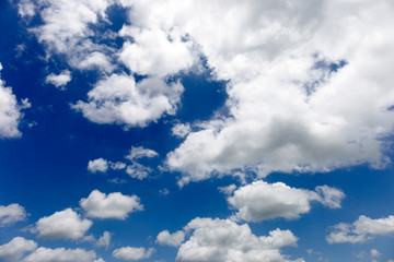 Full frame, bright sky on the day with a lot of clutter. Background