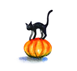 Black cat sitting on a pumpkin. Illustration made in watercolor on paper. Halloween theme, hand drawn