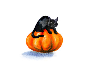 Black cat sitting on a pumpkin. Illustration made in watercolor on paper. Halloween theme, hand drawn isolated on white 