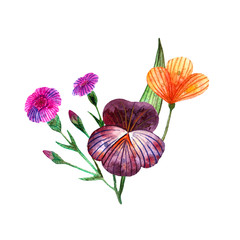 Watercolor wildflowers. Isolated cute bouquet of meadow flowers and herbs
