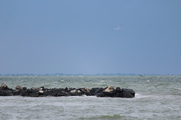 winter sea landscape