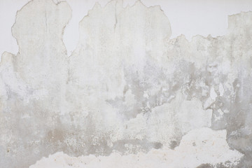 Grey old  wall   plaster  cement plaster surface    with shabby damaged  peeling  dirty  for background  Textured