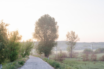 A summer landscape foggy morning