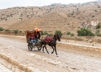 Bedouin carrying tourists in a horse-drawn carriage on the way to Petra near Wadi Musa city in Jordan