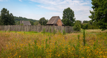 Fototapeta na wymiar Colonial Farm with Yellow Flower Field