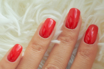perfect red manicure. nail and hand care in the salon.
