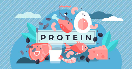 Protein vector illustration. Flat tiny amino acid food menu persons concept