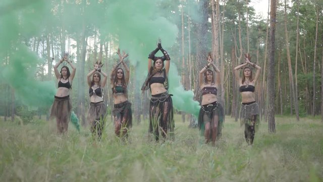 Group of women dancers with make-up and in mystical fabulous costumes dancing in color smoke. Forest fairies, dryads have fun among the trees. Performance of dancers outdoors.