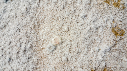 Natural white salt crystal texture on the sand