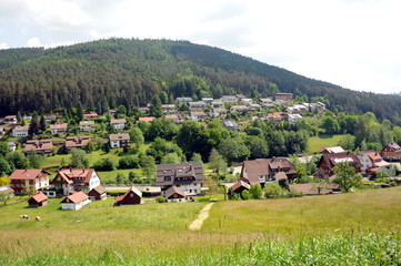 Naklejka premium Tonbach im Schwarzwald