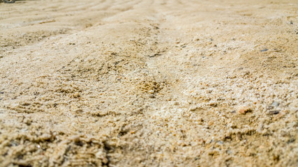 Wet sand texture in the beach