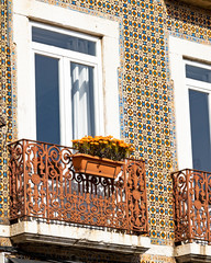 Lisboa - Portugal