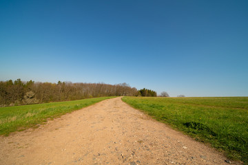 Dirty road in green summer field.  Rural road in the   field