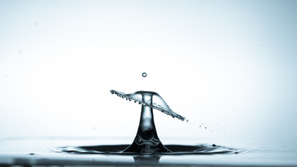 Macro shot of a water drop collision. abstract  water splash