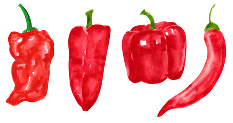 Set of different peppers, hand drawn watercolor illustration. Pepper. Can be used for menu and recipe design.Set of different peppers, hand drawn watercolor illustration. Pepper. Can be used for menu 