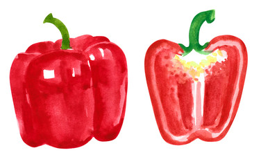 Set of different vegetables, hand drawn watercolor illustration. Pepper. Can be used for menu and recipe design.