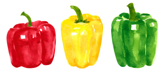 Set of different vegetables, hand drawn watercolor illustration. Pepper. Can be used for menu and recipe design.
