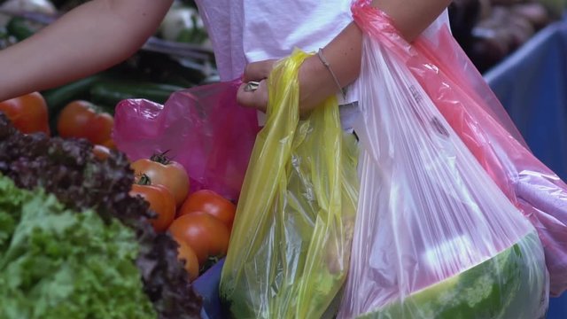 Female customer choosing tomatoes while carrying various plastic shopping bags filled with vegetables at a farmers street market.