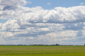 Beautiful Clouds in the blue sky