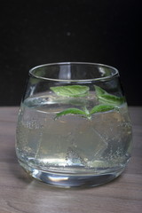 Refreshing drink with gas bubbles. Nalit in a transparent glass. It laid crushed ice. Decorated with mint leaves.