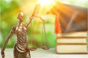 Lawyer.