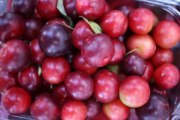 Ripe plum. Fresh organic plums background texture. Full frame of fruits. Vitamins and diet concept. Healthy eating. Vegetarian.