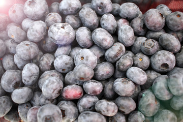 Blueberry fruit. background of fruits. Diet and vitamins, summer concept