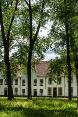 Fototapeta na wymiar Bruges, Flanders, Belgium - June 17, 2019: Enclosed central park of Beguinage comes with green lawn and lots of tall dark trunked trees and green foliage hiding the sky, White houses in back.