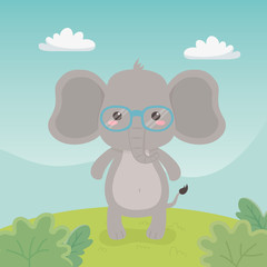 cute and little elephant in the field