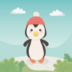 cute and little penguin in the field