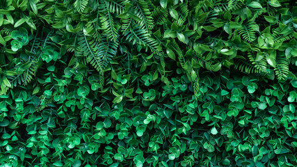 Wall with plastic green leaves texture background.