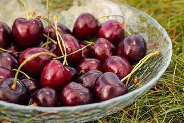 Red ripe sweet cherry in a glass bowl on green grass.