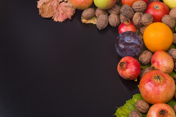 Naklejka na ściany i meble autumn fruits