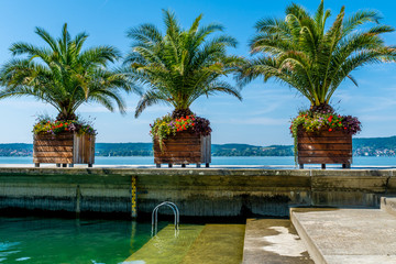 Seeufer Überlingen am Bodensee im Sommer mit Palmen 