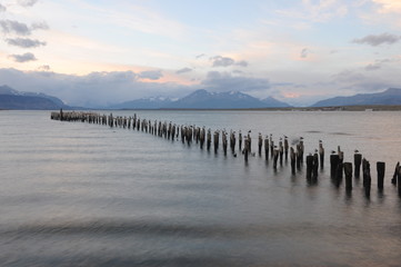 Seagulls standing on wooden logs in the sea during the sunset. Old deck in Puerto Natales, Chile.