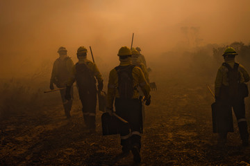 Wildland firefighters walking through smoke