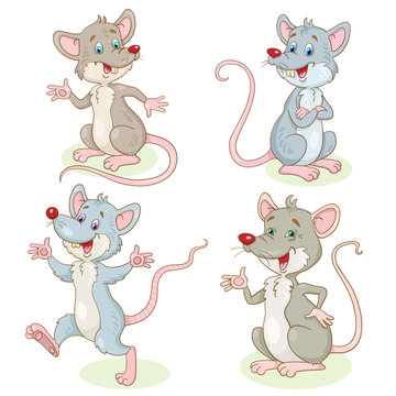 A set of four funny gray rats in different poses. In cartoon style. Isolated on white background