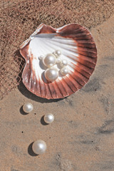 Seashell with  pearls on sand with net 