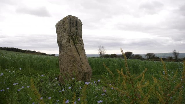 Ancient Irish standing stone in a field