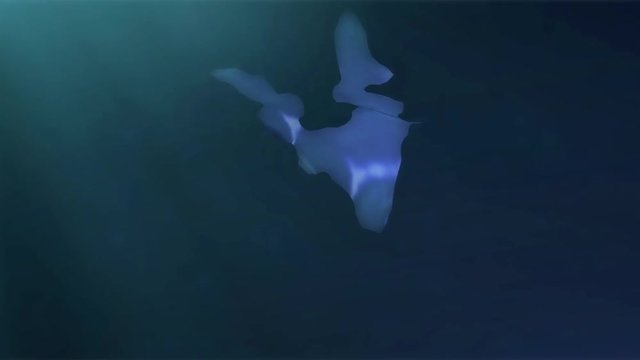 Plastic pollution in ocean environmental problem. Plastic bags, cups, straws and bottles discarded in sea 3d Animation Full HD 1920x1080