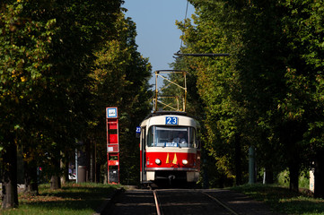 Fototapeta na wymiar プラハの路面電車