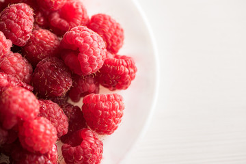 close of fresh organic summer ripe raspberries raspsberry fileld frame 